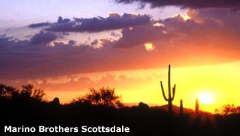 Marino Brothers - Scottsdale, AZ